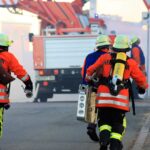Volunteering Opportunities While Traveling in Abu Dhabi